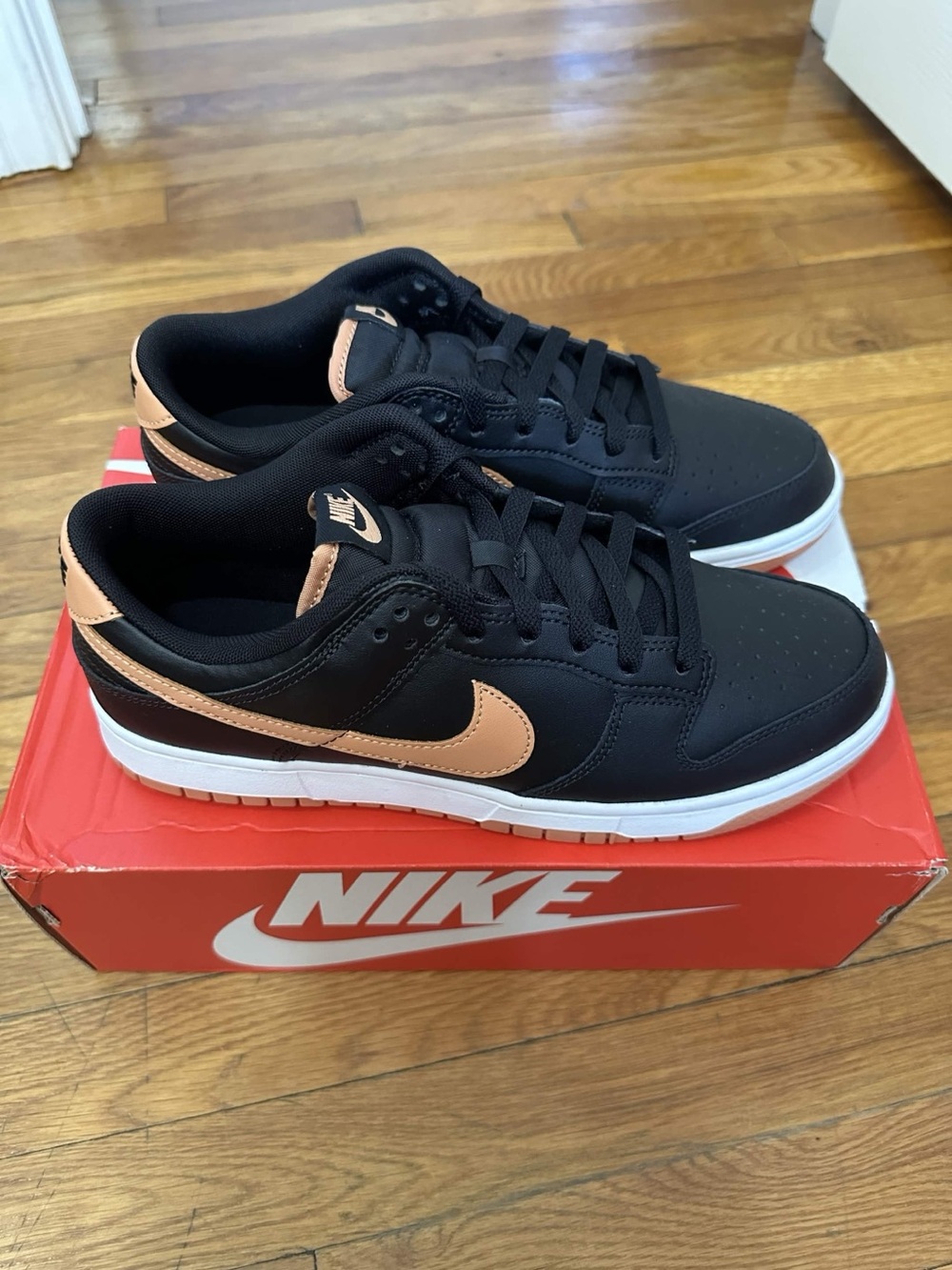 *Slightly Used* Nike Dunk Low Men Black Brown (DV0831-004) Size 10
